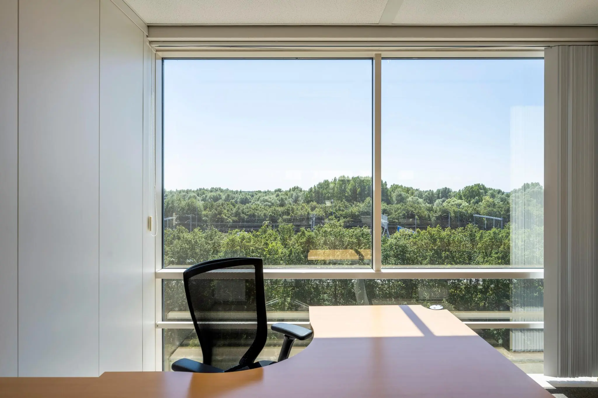 Licht en modern kantoor met uitzicht op groene bomen aan de Thomas R. Malthusstraat.